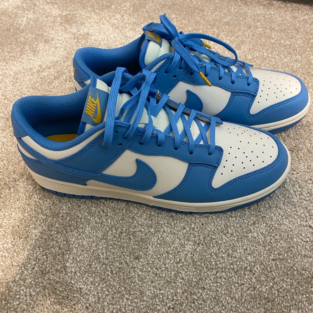 Brand New Nikes Dunk Low Coast